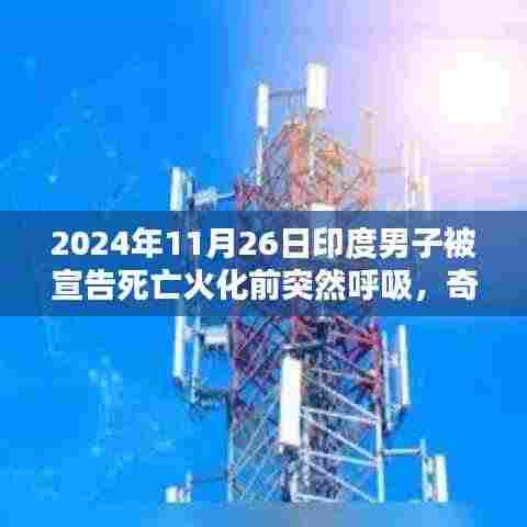 运输网络 第368页