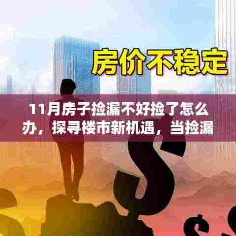 如何应对十一月购房挑战,楼市新机遇探寻与捡漏策略调整