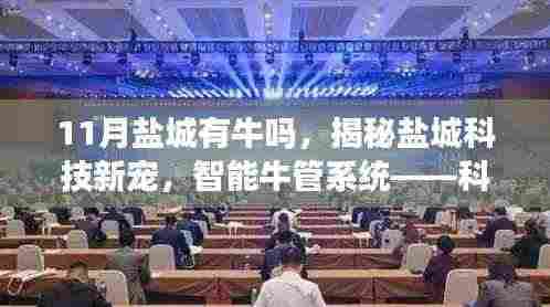 盐城智能牛管系统揭秘,科技之光重塑牛业,开启生活新篇章