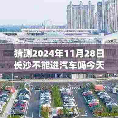 运输网络 第359页