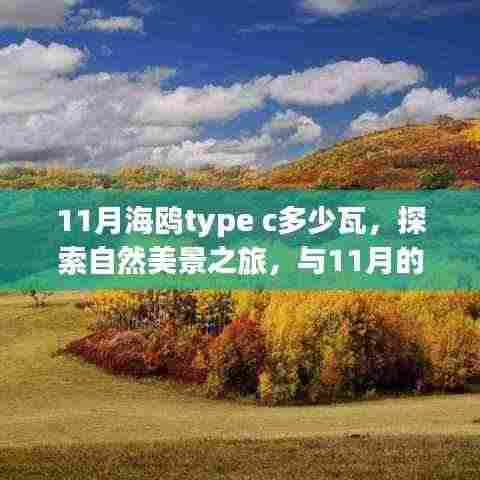 公司简介 第367页