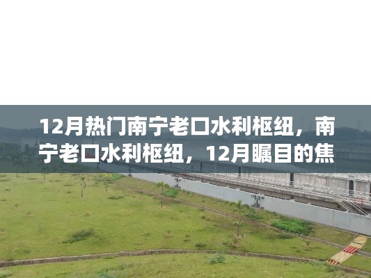 南宁老口水利枢纽,时代进步的见证者,12月瞩目焦点