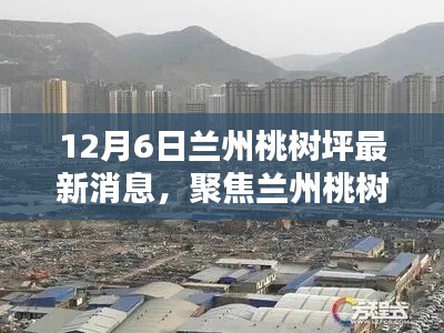 聚焦兰州桃树坪,12月6日最新动态揭秘