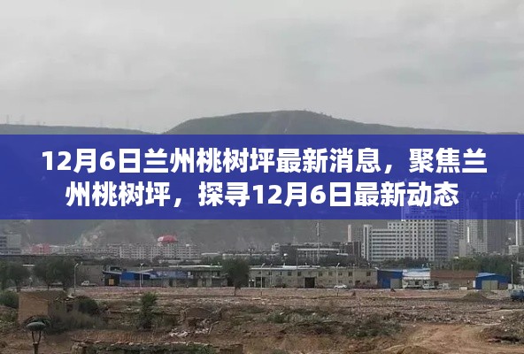 聚焦兰州桃树坪,12月6日最新动态揭秘