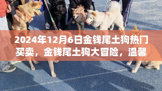 金钱尾土狗大冒险，买卖与友情的温馨之旅