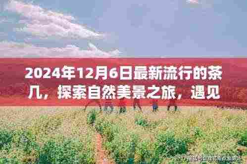 遇见未来，探索自然美景之旅与心灵对话的奇妙旅程——最新流行茶几介绍