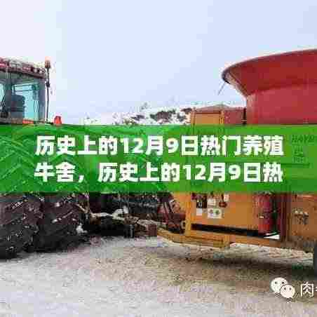 历史上的12月9日热门养殖牛舍深度解析与介绍