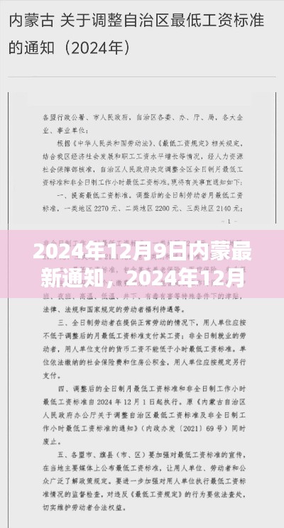 关于内蒙最新通知的论述与观点,2024年12月9日更新
