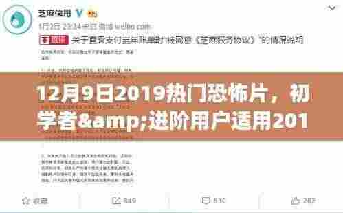 初学者与进阶用户必看,2019年热门恐怖片观影指南与享受恐怖片的技巧