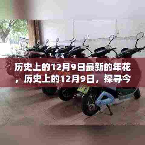 探寻今日年花背后的故事,历史上的十二月九日纪念与年花揭秘