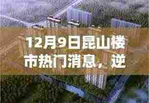 昆山楼市最新动态，逆风翱翔，共成长，探寻12月9日的希望与变化