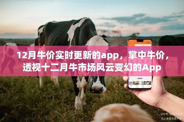 掌中牛价，透视十二月牛市场风云变幻的实时牛价更新App