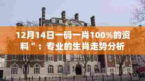 12月14日一码一肖100%的资料":专业的生肖走势分析