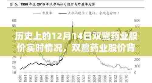 双鹭药业股价背后的自然之旅，历史实时数据与心灵探索之旅