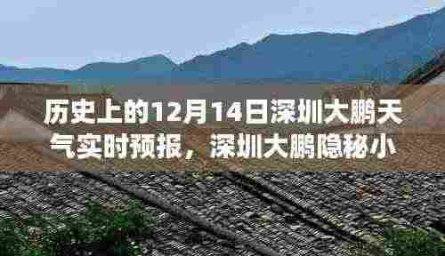 深圳大鹏隐秘小巷天气故事与奇遇,历史天气回顾与特色小店探访