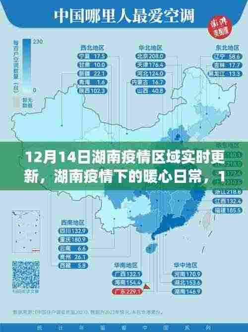 湖南疫情区域实时更新，暖心日常与阳光温情的见证