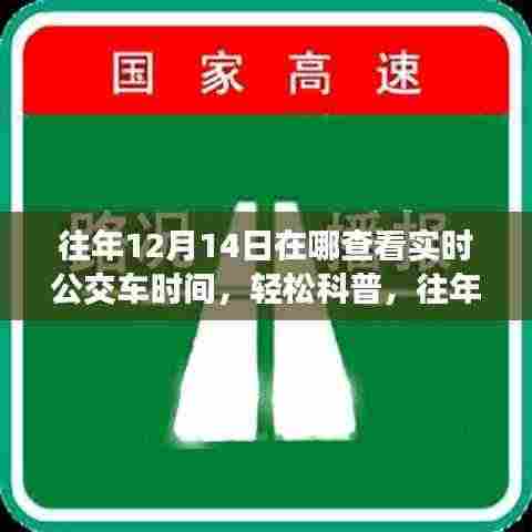 往年12月14日在线实时查看公交车时间,一站式解决方案轻松科普