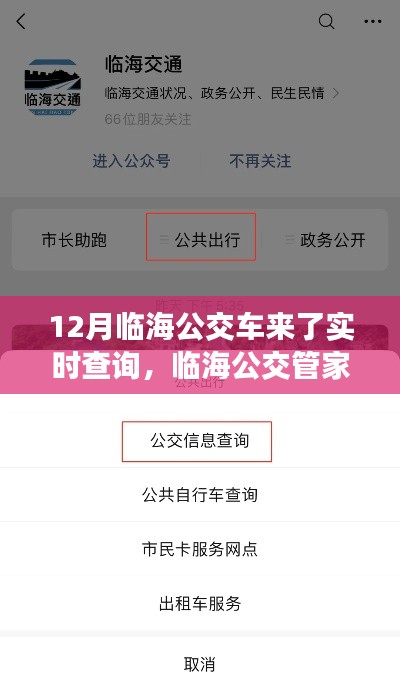 临海公交实时查询系统深度评测,12月临海公交管家功能一览