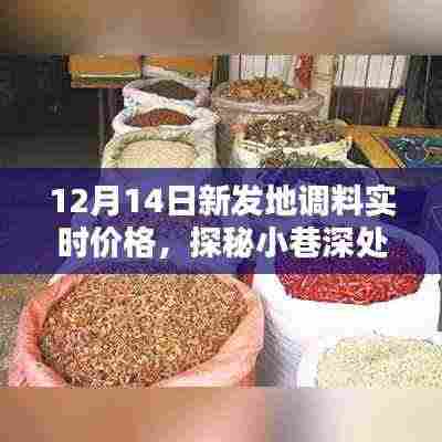 探秘新发地调料王国，12月14日实时价格揭秘