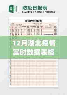 12月湖北疫情实时数据表格，全面评测与详细介绍