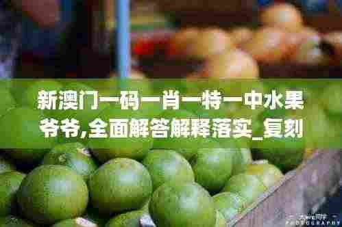 新澳门一码一肖一特一中水果爷爷,全面解答解释落实_复刻版4.775