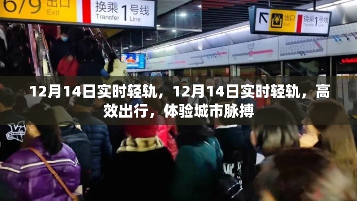 尊师贵道 第5页