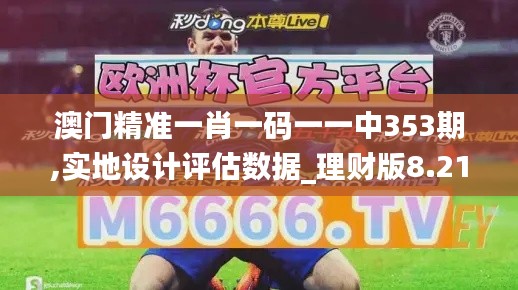 澳门精准一肖一码一一中353期,实地设计评估数据_理财版8.213