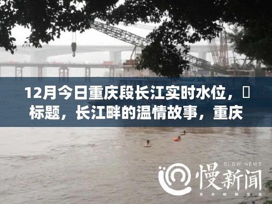 重庆长江水位实时播报,长江畔的温情故事