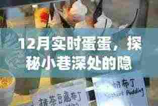 探秘小巷深处的隐藏美食，12月实时蛋蛋之旅