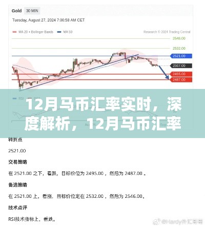 某某观点深度解析,12月马币汇率实时走势及其影响