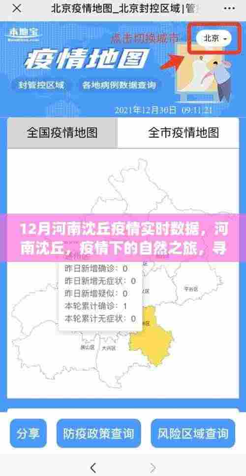 河南沈丘疫情实时数据与疫情下的自然之旅,寻找内心宁静与力量