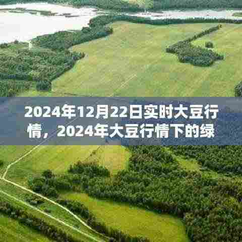 探寻内心宁静与自然微笑,2024年大豆行情下的绿色探险之旅