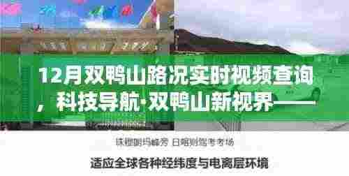 科技导航·双鸭山新视界,智能路况实时视频查询系统,驾驭智能出行新时代