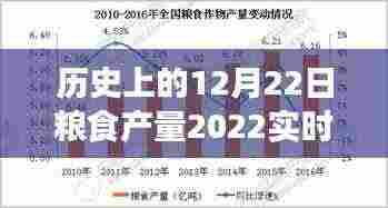 历史上的12月22日粮食产量实时洞察,探寻丰收的足迹与2022年粮食产量分析