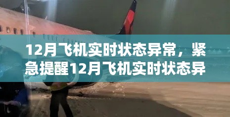 揭秘飞机实时状态异常背后的真相,飞行安全需警惕!