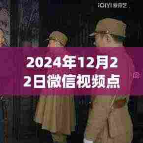 微信视频点赞实时性解析,聚焦2024年12月22日的数据表现与实时更新特点