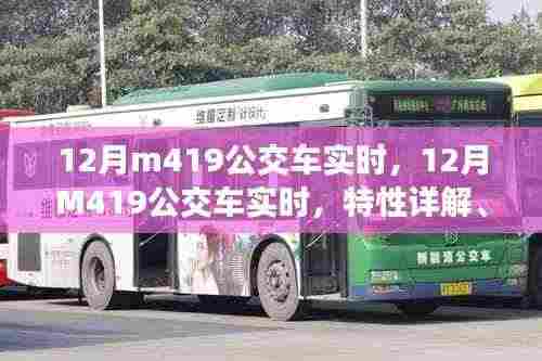 12月M419公交车实时信息及特性详解、用户体验与目标用户分析