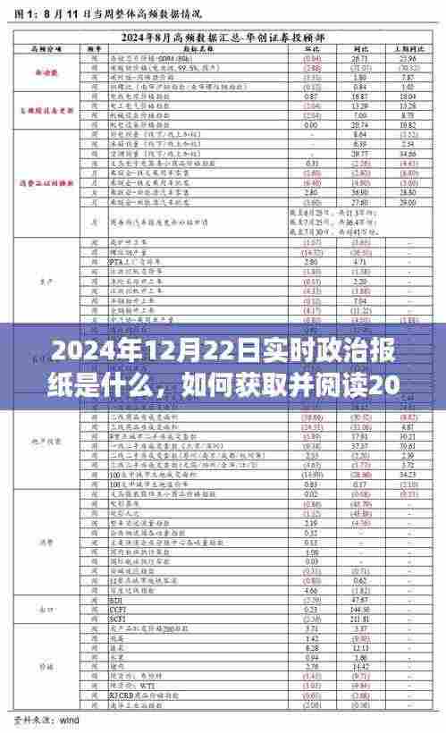 详细指南，获取并阅读2024年12月22日实时政治报纸的方法与内容解析