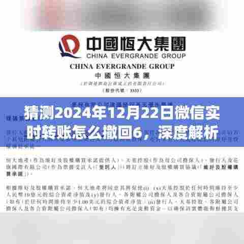 微信实时转账撤回功能展望与用户体验,深度解析如何撤回转账功能至2024年12月22日的新动态