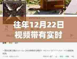 往年12月22日视频热点深度解读,实时趋势下的产品特性、用户体验与目标用户评析