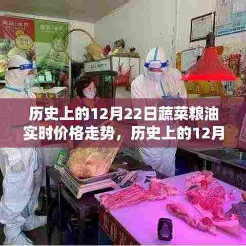 历史上的12月22日蔬菜粮油实时价格走势深度解析与回顾