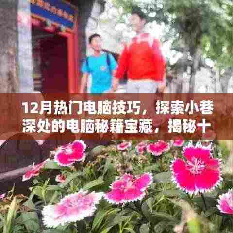 揭秘十二月热门电脑技巧,探索秘籍宝藏,掌握小巷深处的技巧