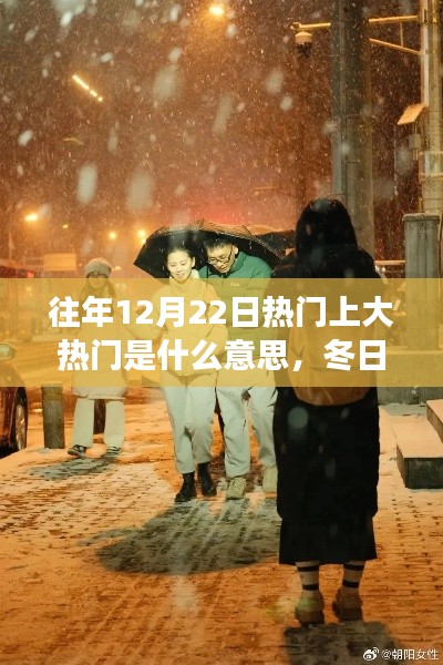 冬日暖阳下的奇缘,揭秘热门事件背后的温情故事