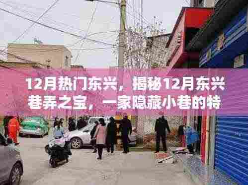 揭秘东兴巷弄之宝,12月隐藏小巷的特色小店探索之旅