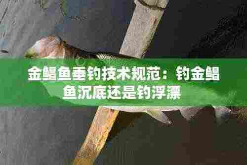 金鲳鱼垂钓技术规范:钓金鲳鱼沉底还是钓浮漂