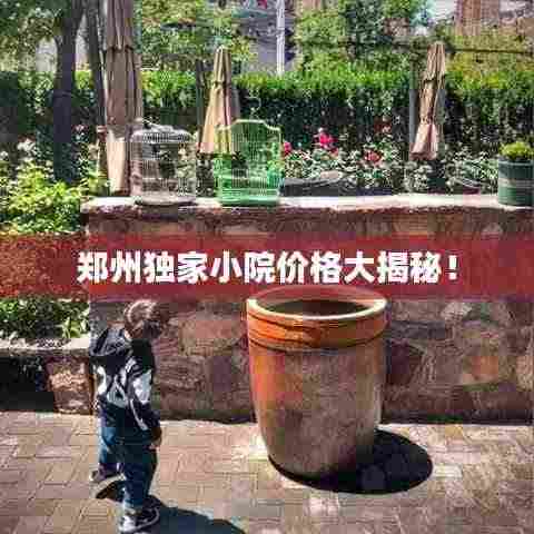 郑州独家小院价格大揭秘!