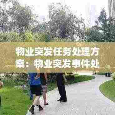 物业突发任务处理方案:物业突发事件处理原则