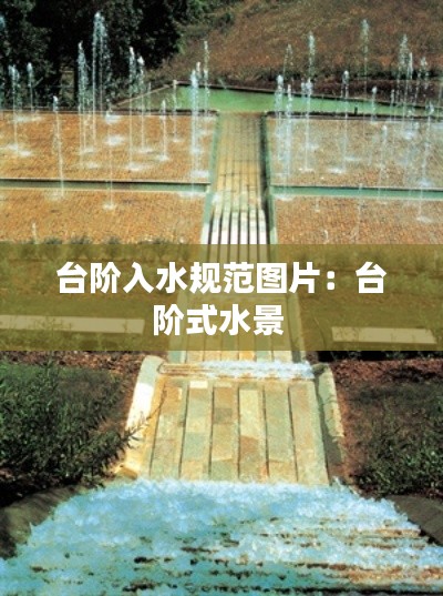 台阶入水规范图片：台阶式水景 