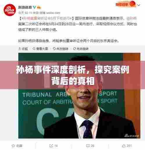 孙杨事件深度剖析,探究案例背后的真相