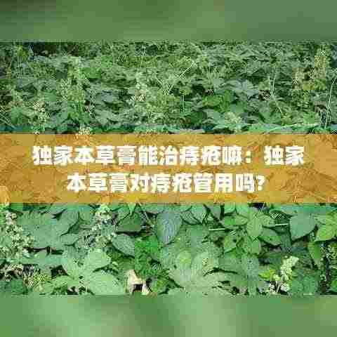 独家本草膏能治痔疮嘛：独家本草膏对痔疮管用吗? 